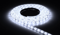 Taśma LED 12V | 5050 | 60LED | 1m | IP20 | Biały zimny (6000K)