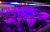 36893110a83a6a61270715ad4ec6a764.jpg