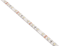 Taśma LED 12V | 2835 | 300LED | 5m | IP65 | Biały neutralny (4500K)