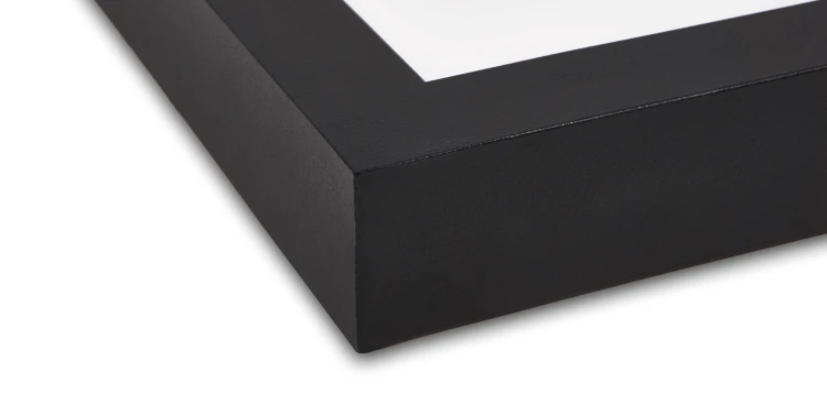 panel Lumenix 8395 5.png