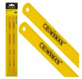 Brzeszczoty do metalu bimetalowe 300mm 24 TPI 2 szt.
