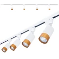 Zestaw Steka Klemens biało-złota lampa szynowa LED GU10 x4 + szynoprzewód 2m - Biały