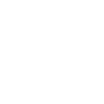 Livrare rapidă