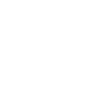Pe piață din 2010